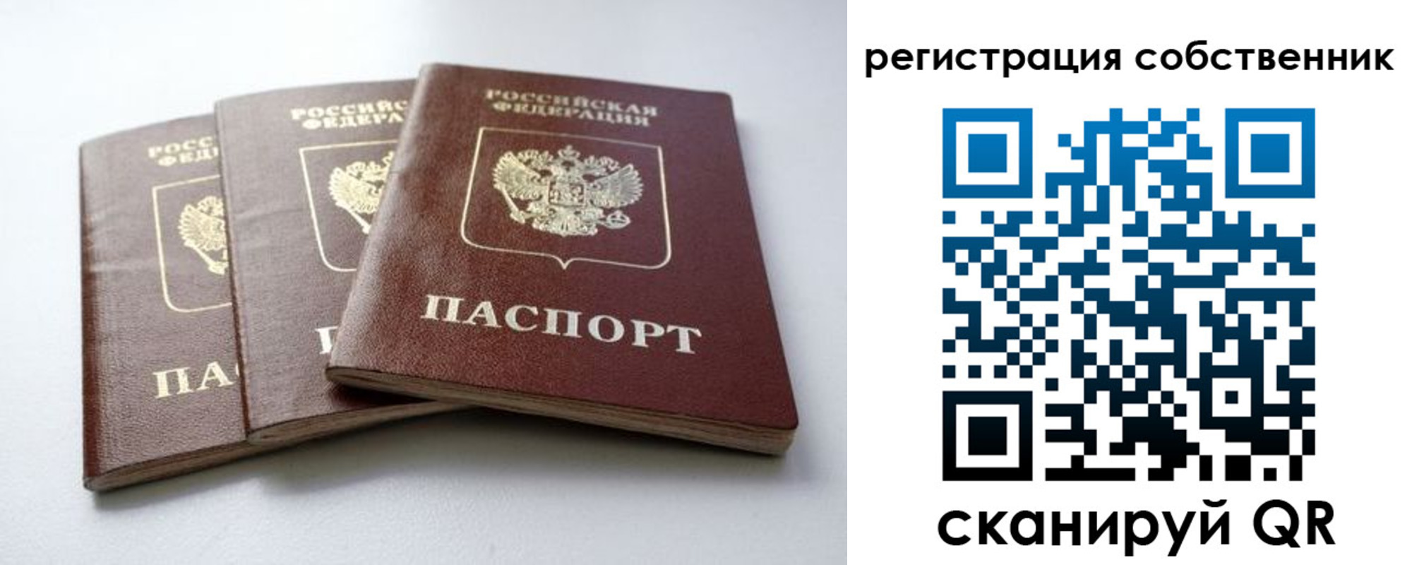 прописка для школы в Черногорске